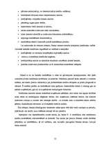 Referāts 'Bankas "X" kredītpolitika un kredītportfeļa stāvoklis', 20.