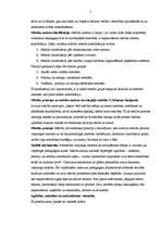 Konspekts 'Mācību principu un metožu savstarpējā saistība', 5.