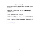 Referāts 'Krusta kari', 11.