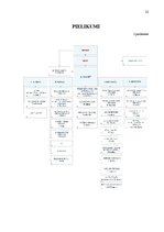 Prakses atskaite 'Prakses atskaite AS "DnB Nord" bankā', 20.