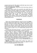 Konspekts 'Mikroorganismu raksturojums un iedalījums. Mikroskops', 11.