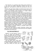 Konspekts 'Mikroorganismu raksturojums un iedalījums. Mikroskops', 12.