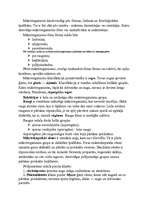 Konspekts 'Mikroorganismu raksturojums un iedalījums. Mikroskops', 19.