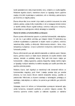 Eseja 'Dizains: funkcionalitāte, estētika un cilvēka pieredze', 2.