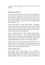 Eseja 'Dizains: funkcionalitāte, estētika un cilvēka pieredze', 3.