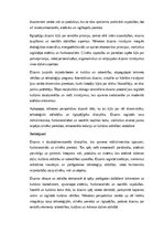 Eseja 'Dizains: funkcionalitāte, estētika un cilvēka pieredze', 4.