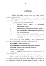 Referāts 'Skolas mācību vides ietekme uz bērna personības attīstību sākumskolā', 48.