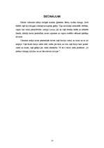 Referāts 'Kārļa Ulmaņa ekonomiskie uzskati', 14.