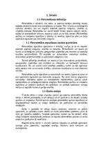 Referāts 'Sportistu pārtrenēšanās pazīmes', 4.