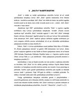 Referāts 'AAS "Balta"', 9.