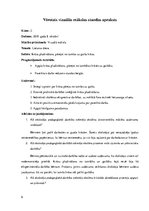 Prakses atskaite 'Aktīvā mācību un audzināšanas prakse sākumskolā', 6.