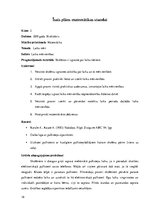 Prakses atskaite 'Aktīvā mācību un audzināšanas prakse sākumskolā', 18.