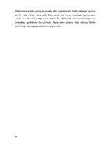 Prakses atskaite 'Aktīvā mācību un audzināšanas prakse sākumskolā', 22.