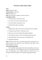 Prakses atskaite 'Aktīvā mācību un audzināšanas prakse sākumskolā', 24.