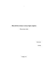 Konspekts 'Minerālvielu ietekme uz zirņu dīgstu augšanu', 1.