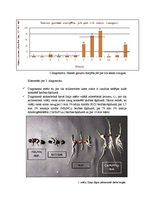 Konspekts 'Minerālvielu ietekme uz zirņu dīgstu augšanu', 5.