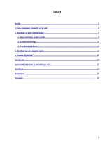 Referāts 'Epitāfijas uz kapu pieminekļiem Lizuma pagasta kapos dažādos laika periodos', 2.