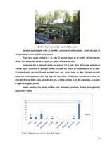 Referāts 'Epitāfijas uz kapu pieminekļiem Lizuma pagasta kapos dažādos laika periodos', 23.