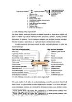 Referāts 'Organizācijas vienkāršošana', 11.