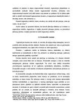 Referāts 'Organizācijas vienkāršošana', 12.