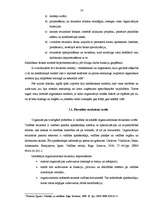 Referāts 'Organizācijas vienkāršošana', 16.