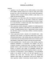 Referāts 'Organizācijas vienkāršošana', 29.