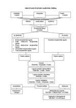 Konspekts 'Nekustamo īpašumu darījumu shēma', 1.