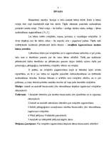 Referāts 'Rotaļlietu nozīme bērna attīstībā', 1.