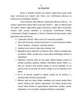 Referāts 'Rotaļlietu nozīme bērna attīstībā', 21.