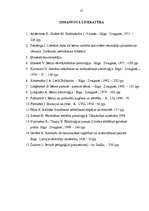 Referāts 'Rotaļlietu nozīme bērna attīstībā', 23.