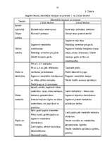 Referāts 'Rotaļlietu nozīme bērna attīstībā', 28.