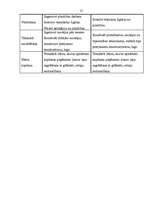 Referāts 'Rotaļlietu nozīme bērna attīstībā', 29.