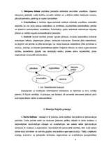 Referāts 'Henrija Faijola teorija', 3.