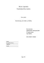 Referāts 'Investīcijas, to veidi un būtība', 1.