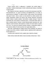 Referāts 'Investīcijas, to veidi un būtība', 8.