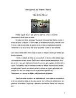 Referāts 'Upes Latvijā kā tūrisma prece', 3.