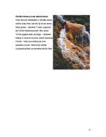 Referāts 'Upes Latvijā kā tūrisma prece', 13.