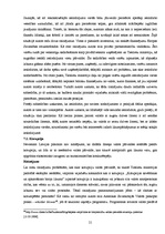 Referāts 'Tieslietu ministrija', 21.