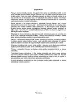 Referāts 'Tūrisms', 3.