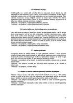 Referāts 'Tūrisms', 17.