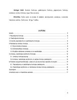 Paraugs 'Ekonomisko sakarību funkcijas', 4.