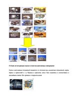 Biznesa plāns 'Создание завода', 13.