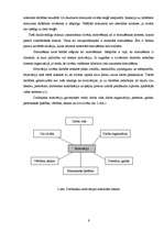 Referāts 'Motivācijas sistēma lielveikalā "L"', 6.