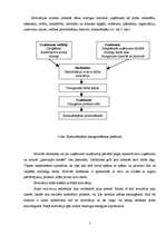 Referāts 'Motivācijas sistēma lielveikalā "L"', 7.