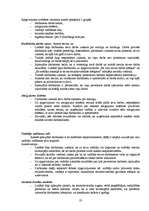 Referāts 'Motivācijas sistēma lielveikalā "L"', 23.