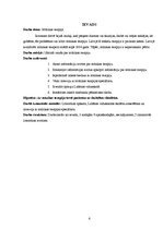 Referāts 'Mūzikas terapija', 6.