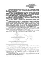 Referāts 'Runas etiķete', 1.