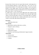 Referāts 'Baleta vēsture un attīstība', 2.