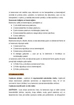 Konspekts 'Civiltiesību, civilprocesa un komerctiesību jautājumu konspekts', 248.