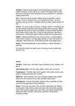 Konspekts 'Lugas "Indrāni" tēlu raksturojums, konspekts', 3.